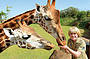 Croc Express Tour (Australia Zoo) from Gold Coast